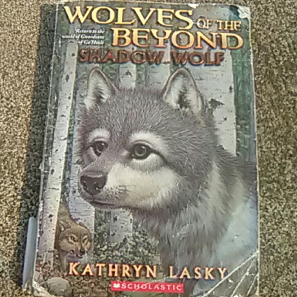 Book